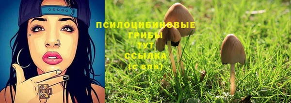 кокс Осинники
