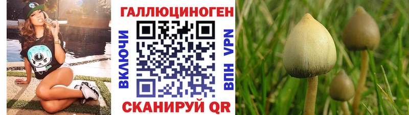 кракен зеркало  Сызрань  Галлюциногенные грибы прущие грибы  darknet официальный сайт  где найти  