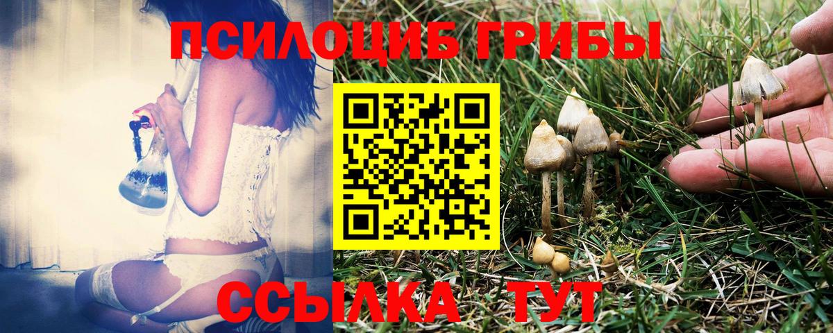 Галлюциногенные грибы GOLDEN TEACHER Сызрань